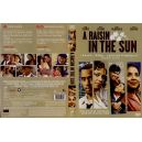 RAISIN IN THE SUN-DVD